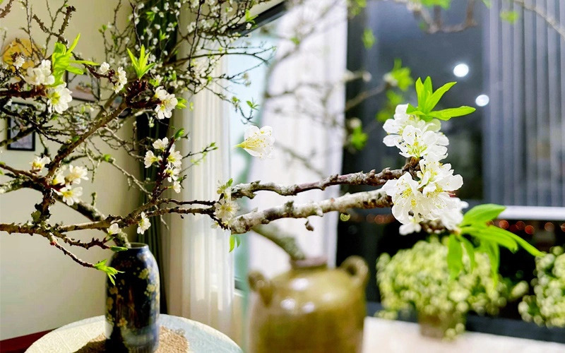Cách Cắm Cành Mận Gallery 1