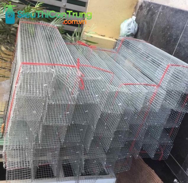 Cách Bẫy Rắn Hổ Mang An Toàn và Hiệu Quả Gallery 1