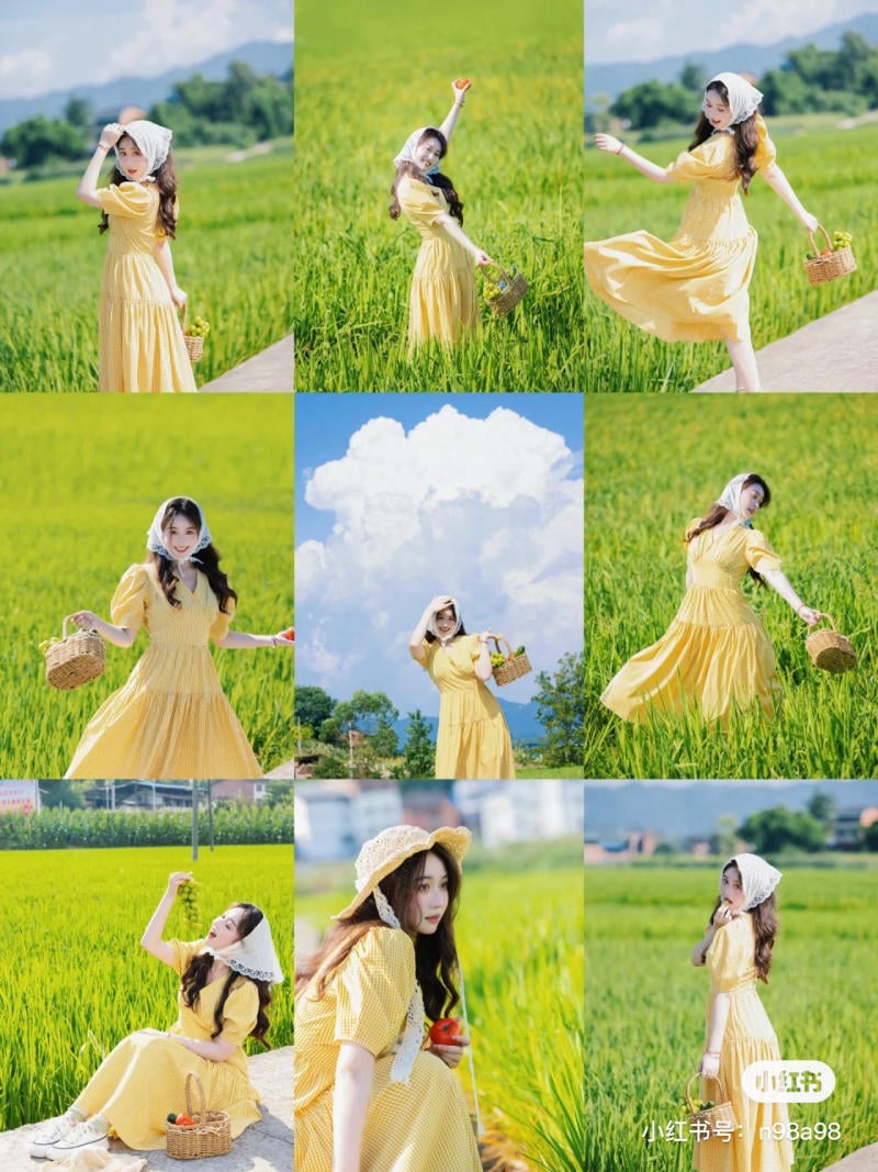 Tạo Dáng Chụp Ảnh Với Cánh Đồng Lúa Gallery 1