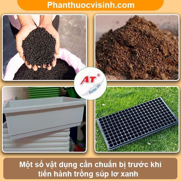 Cách Trồng Súp Lơ Xanh Hiệu Quả Gallery 1