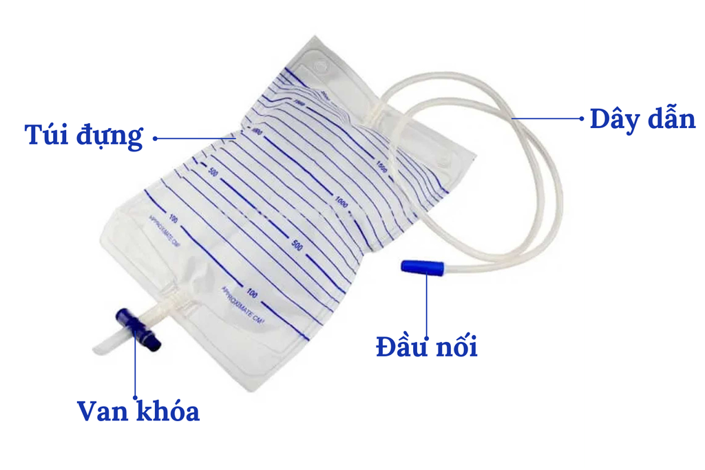 Cách Xả Túi Nước Tiểu Van Ngang Gallery 1