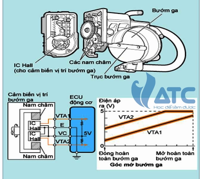 Cảm biến vị trí bướm ga Gallery 2