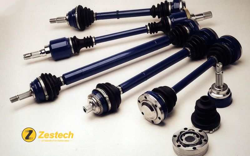 Cây Láp Của Con Người Là Gì? Gallery 2
