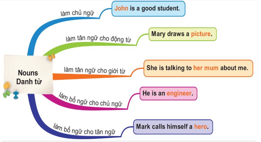 The Function of Nouns in English