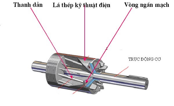 Stato là bộ phận gì? Gallery 2