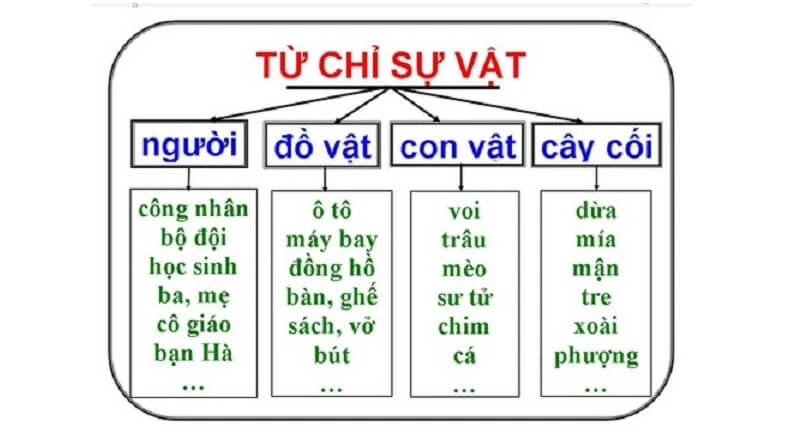 Tứ chi là gì? Gallery 2