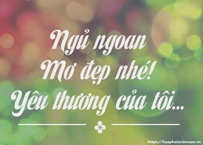 Chúc Ngủ Ngon Yêu Thương!