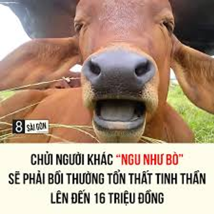 Cách Chửi Người Khác Ngu Mà Vẫn Chuẩn SEO