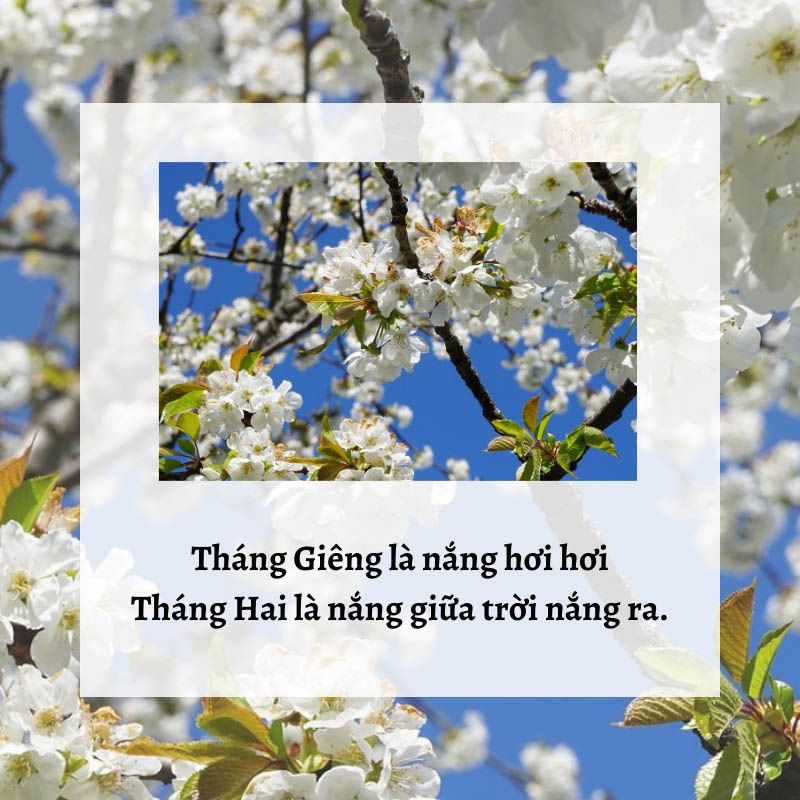 Ca Dao Hay Về Tết Và Mùa Xuân Gallery 1