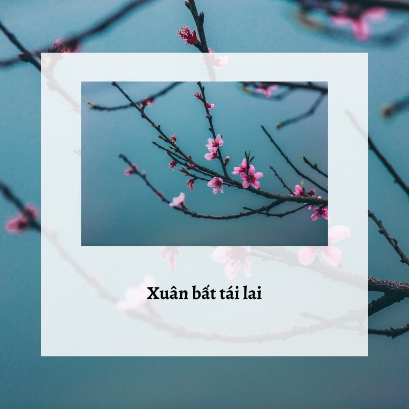 Ca Dao Hay Về Tết Và Mùa Xuân Gallery 2