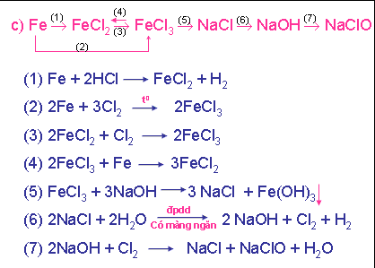 Chuỗi Phản Ứng Của Fe