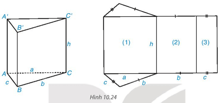 Giải SGK Toán 7 Tập 2 Kết Nối Tri Thức Gallery 2