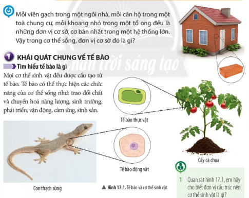 Soạn Sinh 7 Chân Trời Sáng Tạo - Giải đáp mọi thắc mắc Gallery 2