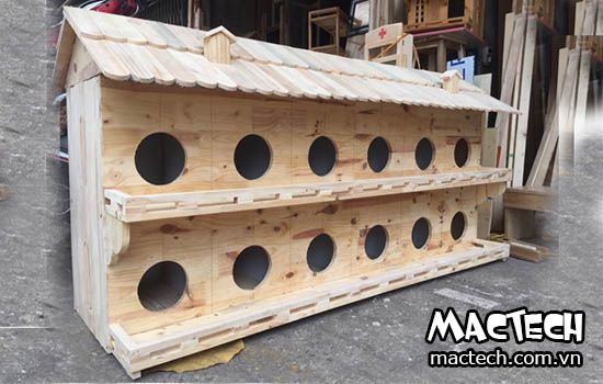 Chuồng Bồ Câu Ngoài Trời: Thiết Kế, Lắp Đặt và Chăm Sóc