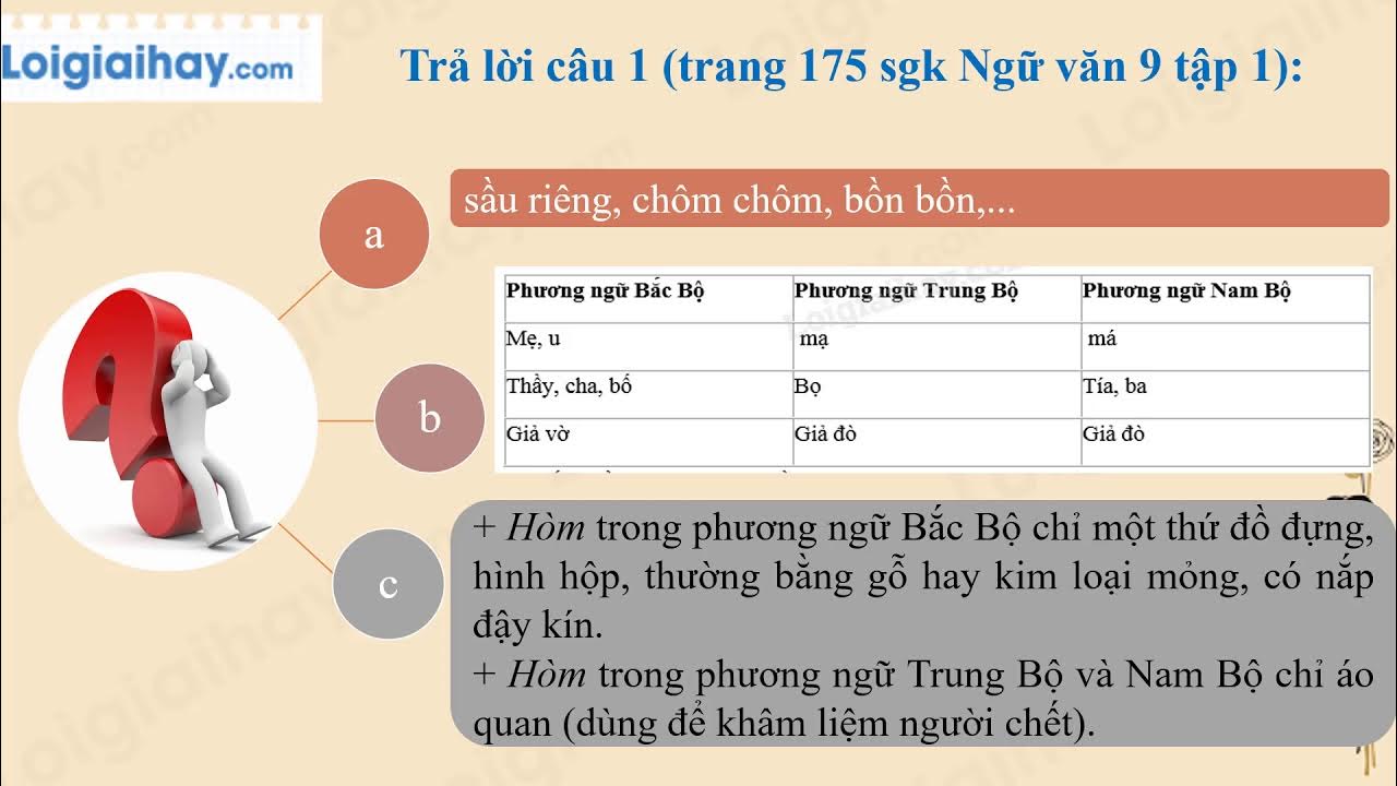 Chương trình địa phương Tiếng Việt lớp 9 trang 175