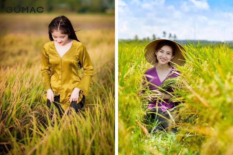 Chụp ảnh cánh đồng lúa mặc gì?
