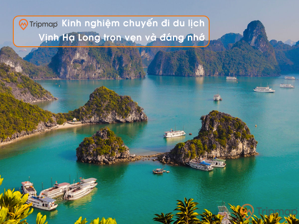 Kể lại một hoạt động em đã làm cùng những người thân trong gia đình Gallery 1