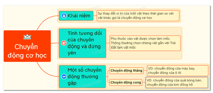 Có mấy loại chuyển động? Gallery 1