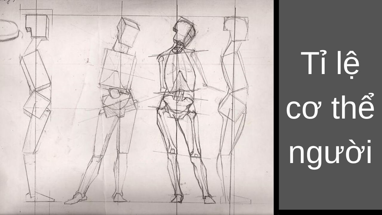 Cách Vẽ Thân Người: Hướng Dẫn Chi Tiết Từ Cơ Bản Đến Nâng Cao Gallery 1