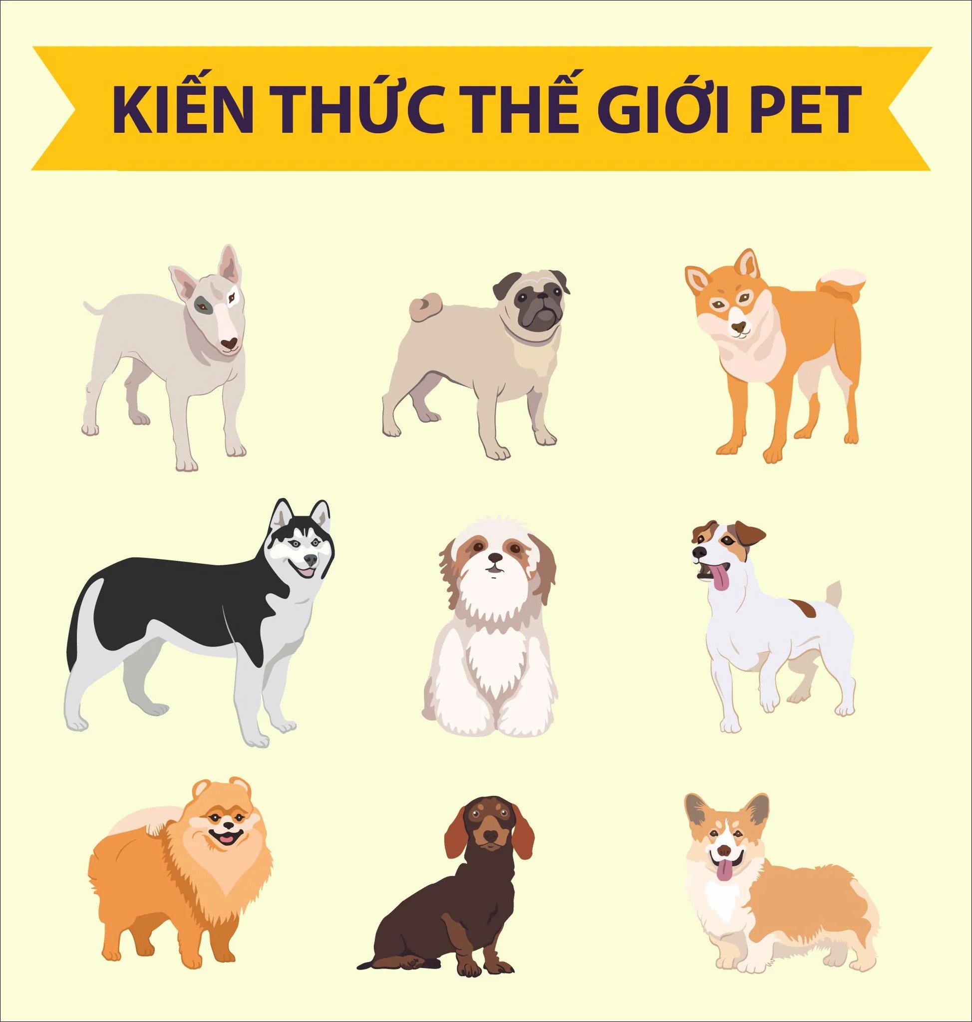Có Bao Nhiêu Giống Chó?