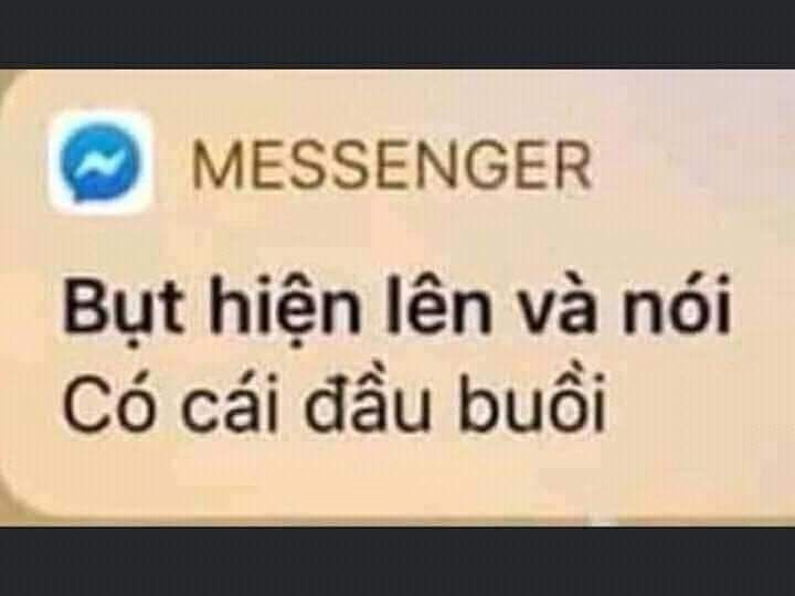 Có Cái Đầu B Là Gì? Gallery 2