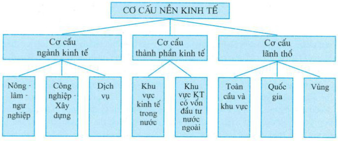 Cơ cấu ngành kinh tế là gì? Vai trò và phân loại
