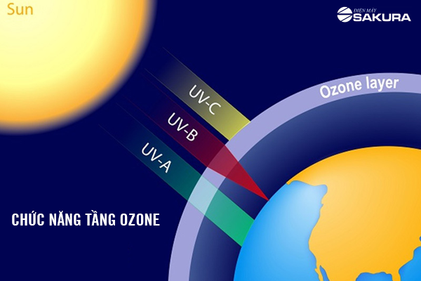 Vai trò của tầng Ozone là gì? Gallery 2