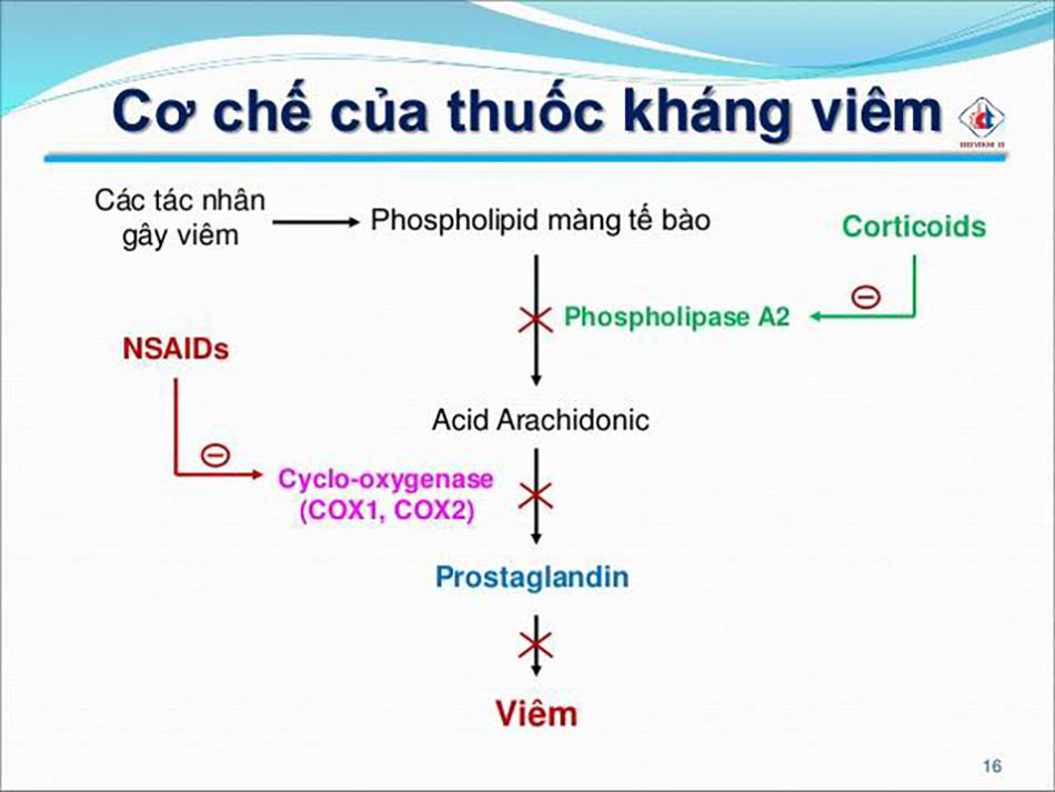 Thuốc Corticoid: Công dụng, Tác dụng phụ và Lưu ý khi sử dụng Gallery 1