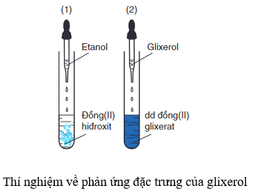 Phản ứng giữa Etilen Glicol và CuO Gallery 1