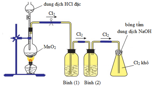 Phản ứng MnO2 + HCl → MnCl2 + Cl2 + H2O Gallery 2