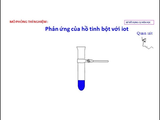 Phản ứng của hồ tinh bột với iot Gallery 1