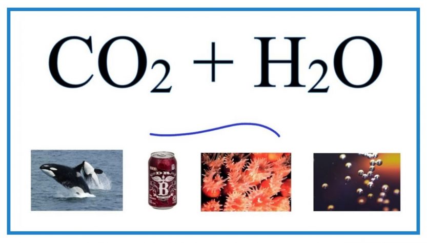 CO2 + H2O → H2CO3: Phản ứng hình thành axit cacbonic Gallery 1