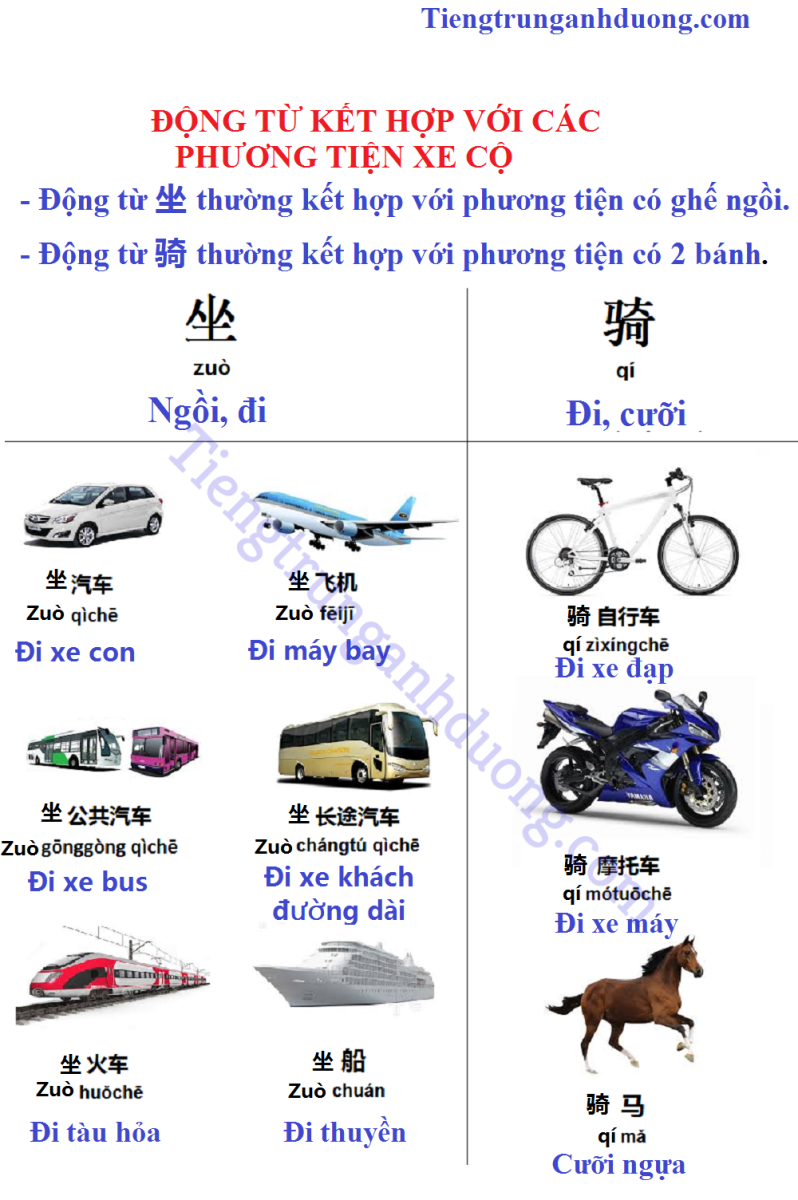 Cộ Đi Với Từ Gì?