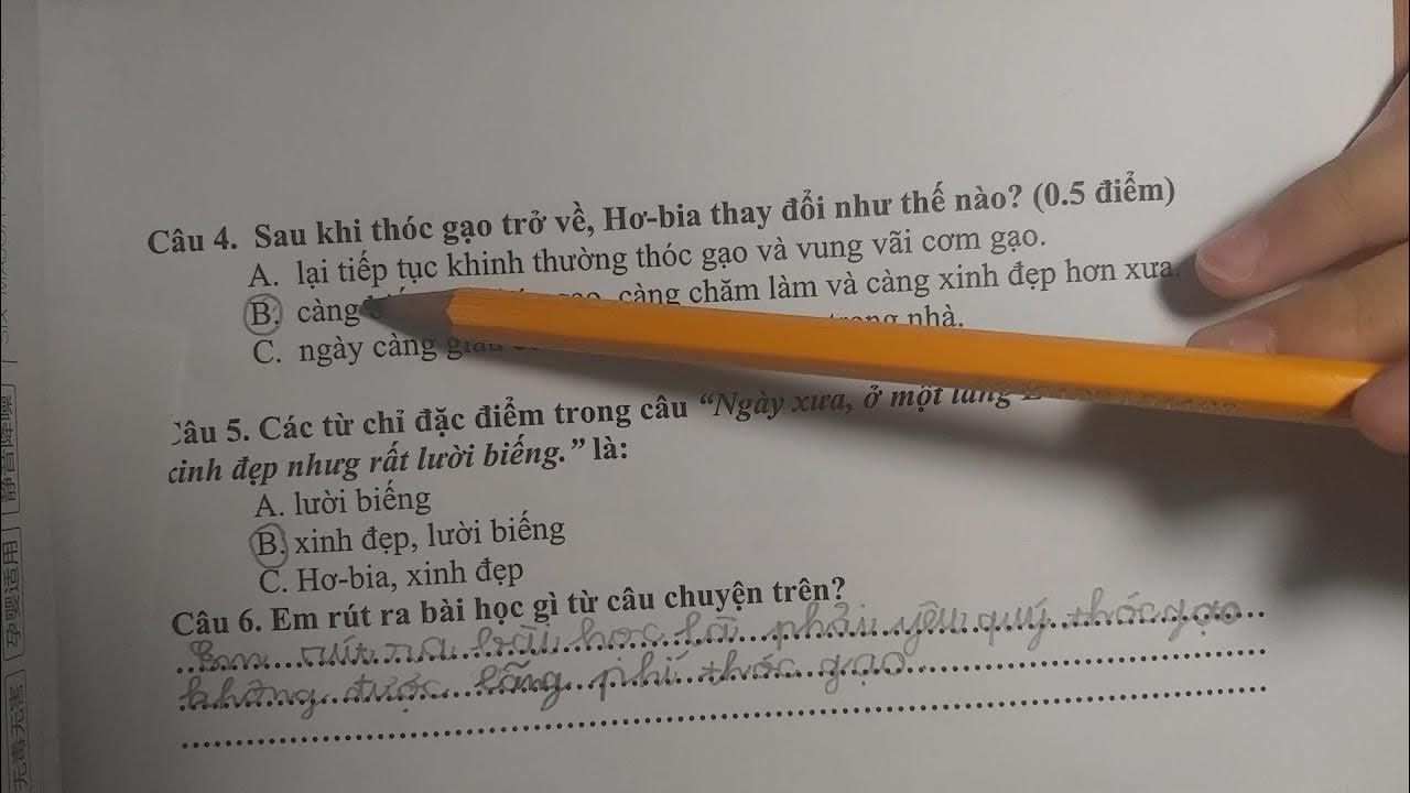 Cô Gái Đẹp Và Hạt Gạo Gallery 2