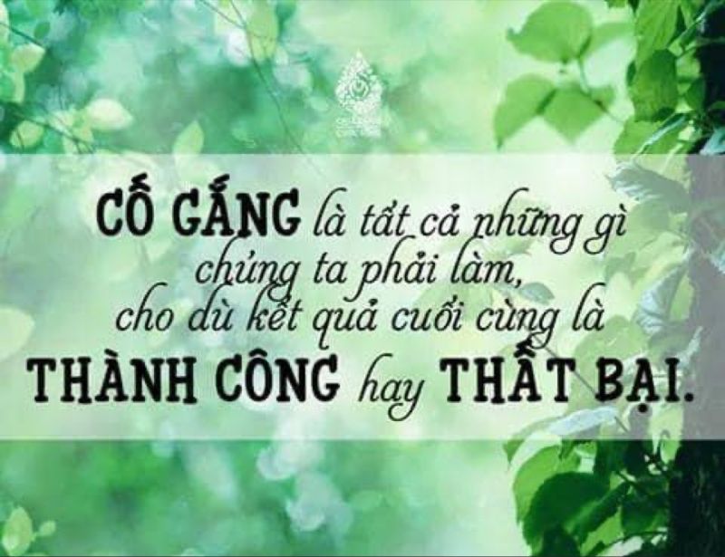 Cố Gắng Là Gì?