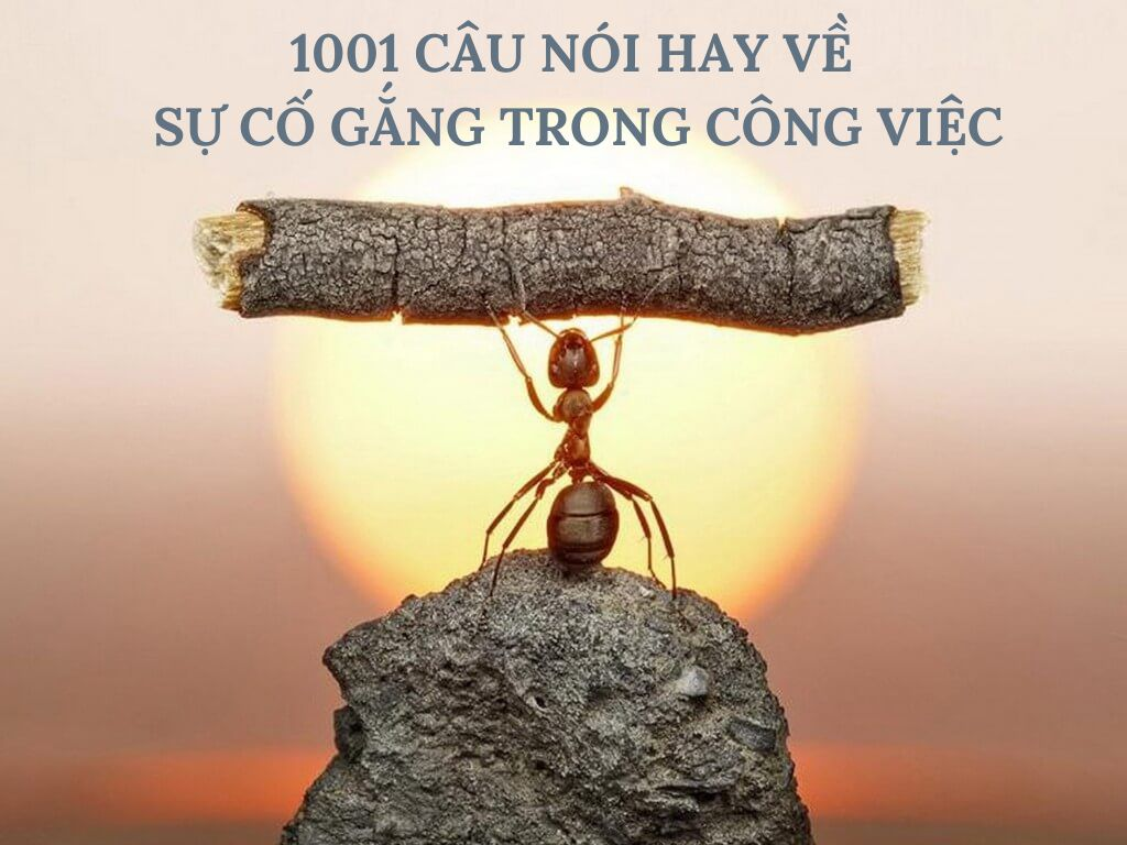 Cố Gắng Vượt Qua: Hướng dẫn và động lực để thành công