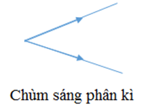 Có Mấy Loại Chùm Sáng? Gallery 2