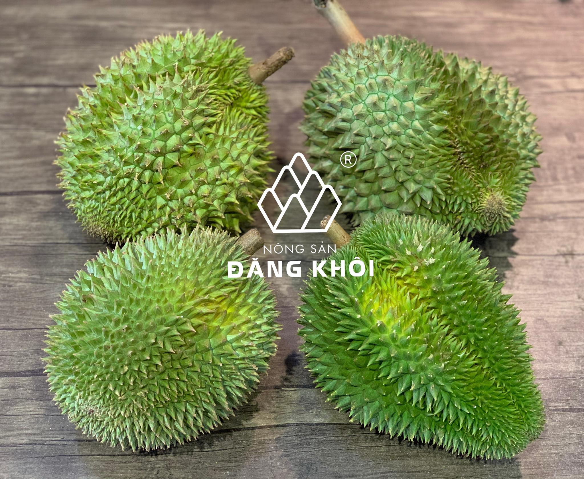 Có Mấy Loại Sầu Riêng?
