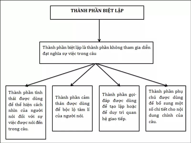 Có Mấy Thành Phần Biệt Lập? Gallery 2