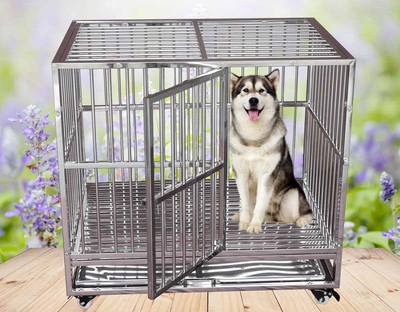 Có Nên Nhốt Chó Trong Chuồng?