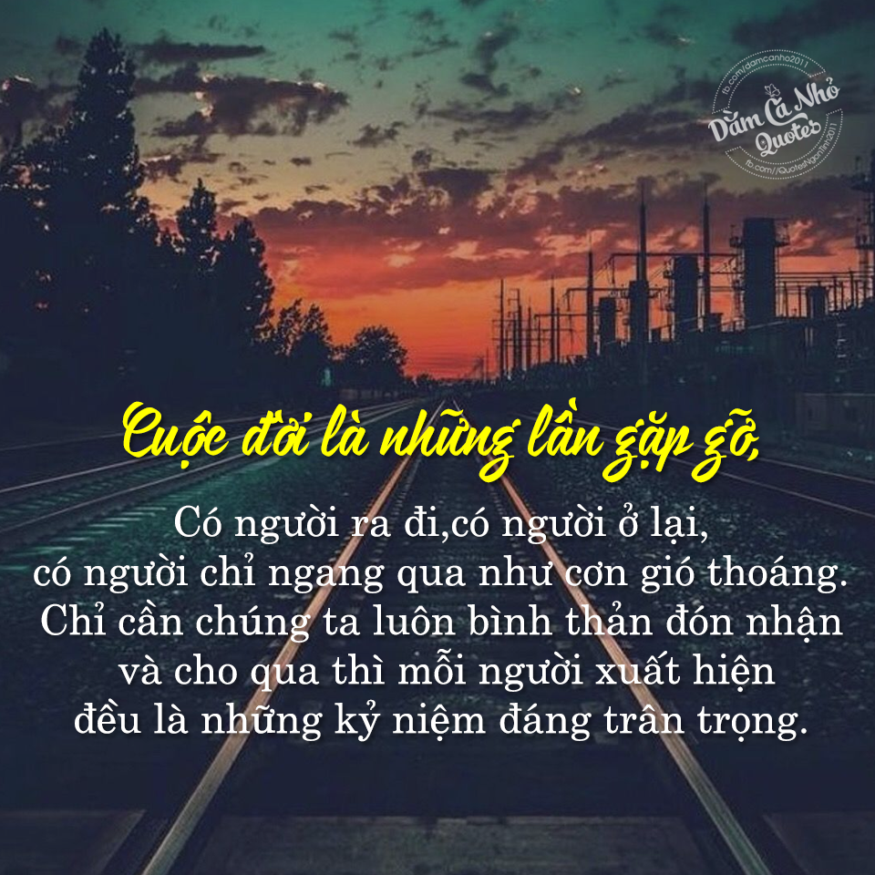 Những người chỉ gặp một lần trong đời