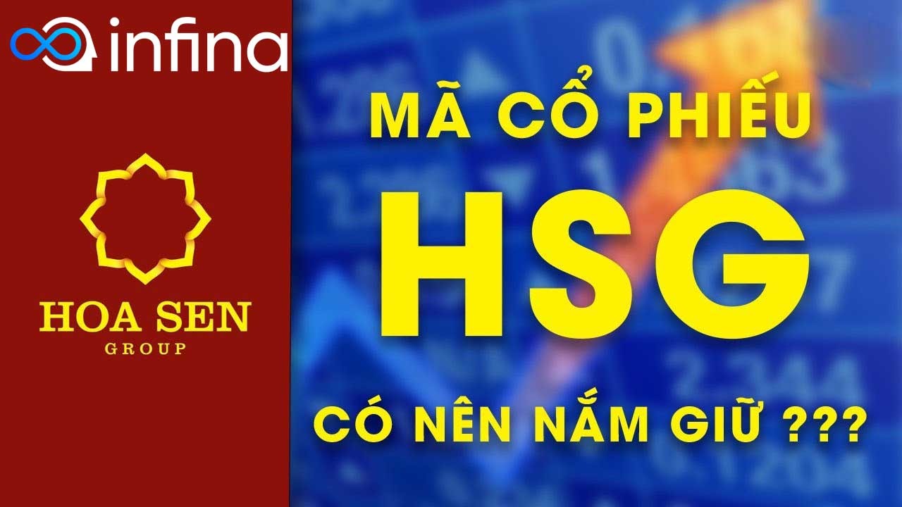 Cổ phiếu Hoa Sen (HSG): Phân tích, cơ hội và rủi ro