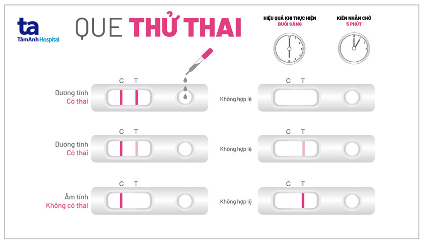 Có Thai Bao Lâu Thì Thử Que Lên Vạch?