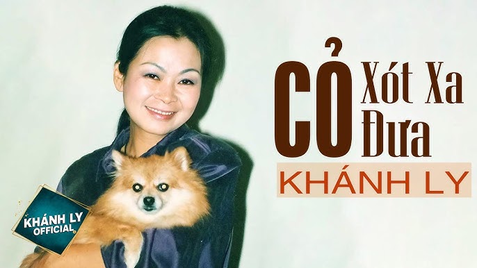 Cỏ Xót Xa Đưa