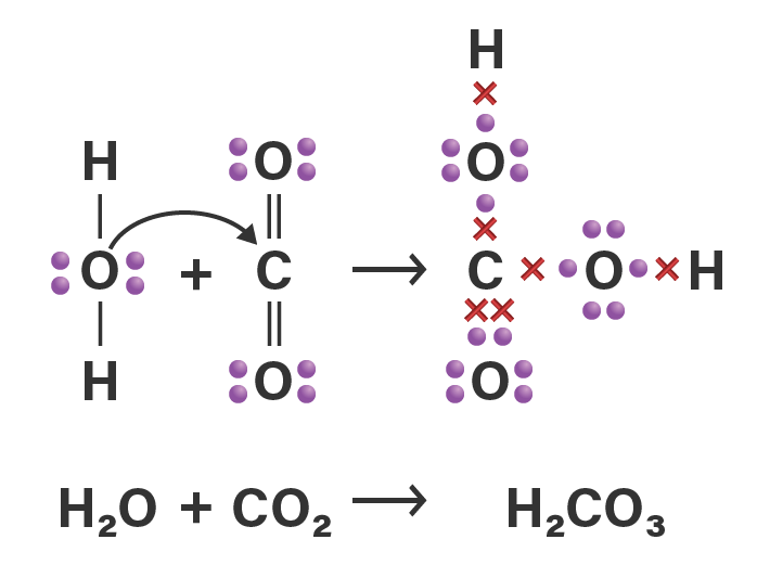 CO2 + H2O menghasilkan apa?