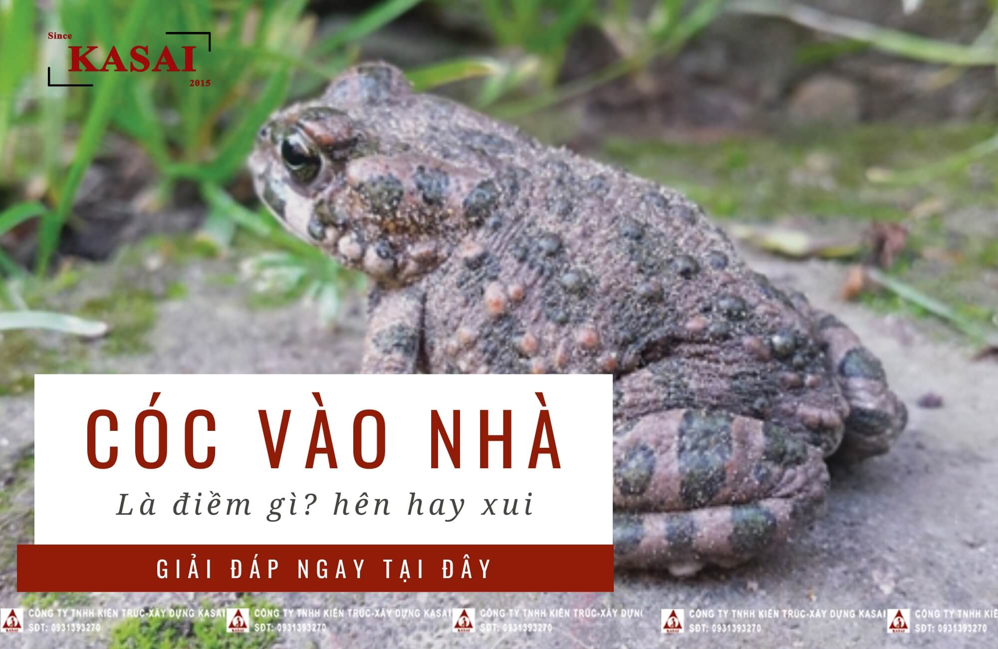 Cóc nhảy vào nhà đánh số mấy?