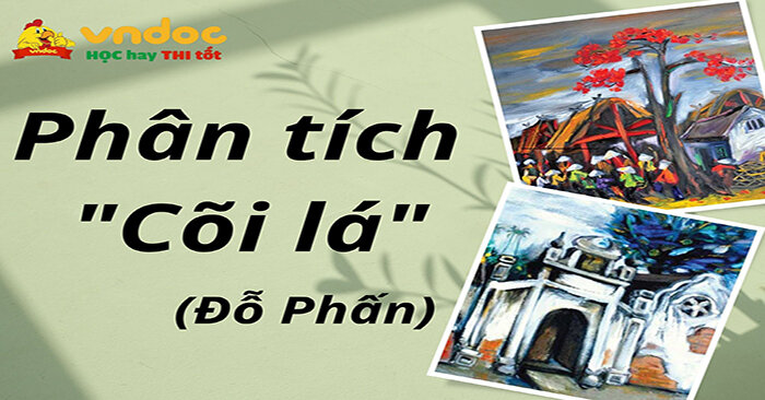 Cõi Lá Đỗ Phấn Là Gì? Gallery 2