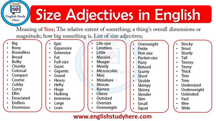 Sizes in English Gallery 1