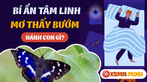 Con Bướm Đánh Đề Số Mấy?