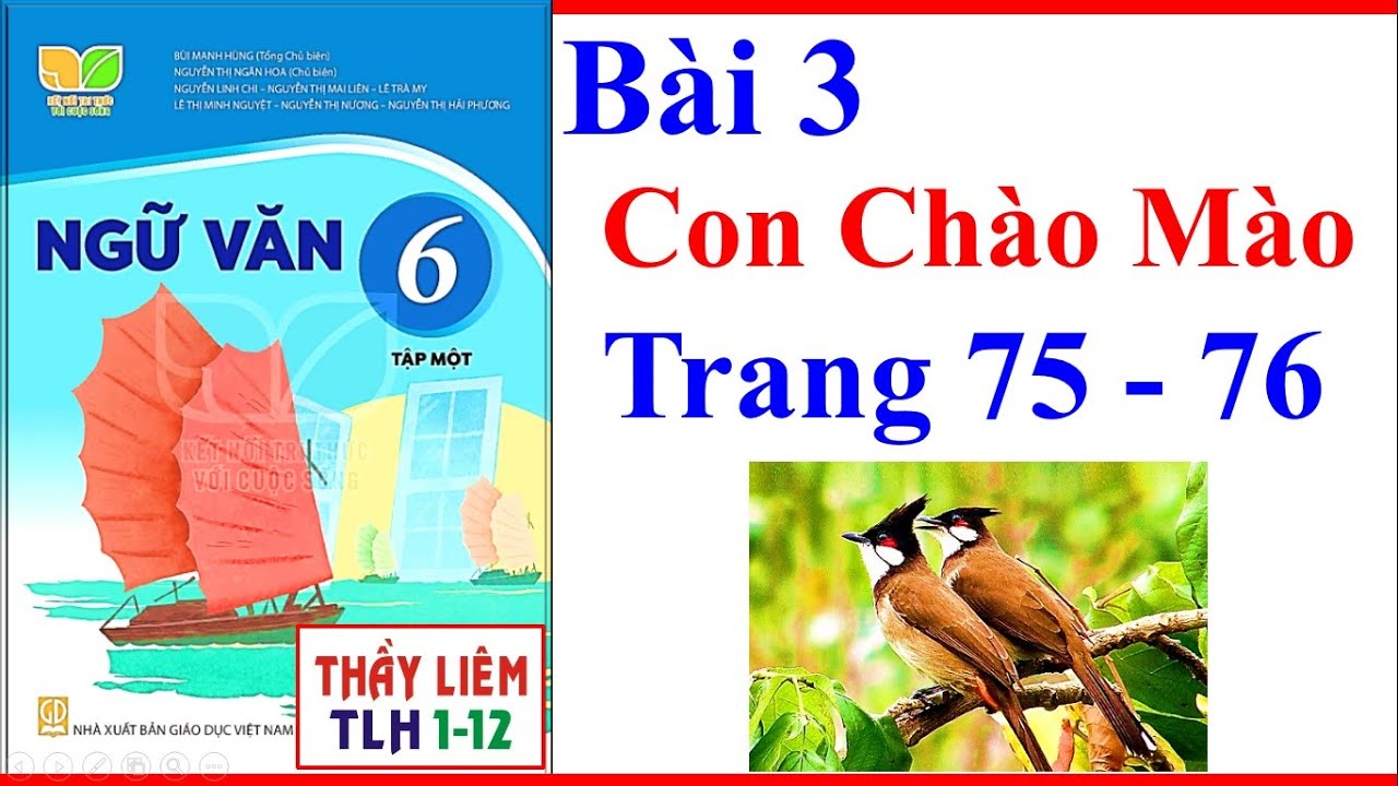 Con Chào Mào Lớp 6 Trang 75